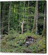 Crucifix In The Forest Canvas Print