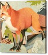 Curious Red Fox Canvas Print