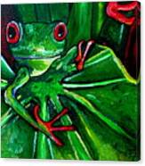Curious Tree Frog Canvas Print