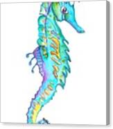 Cute Colorful Seahorse Canvas Print