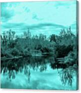 Cyan Dreaming - Sarasota Pond Canvas Print