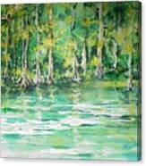Cypress In Summer Canvas Print