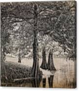 Cypress Retreat Canvas Print