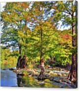 Cypress Trees Along The Guadalupe River Canvas Print