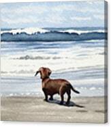 Dachshund At The Beach Canvas Print