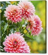 Dahlia Passion Fruit Canvas Print