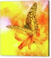 Daisy For A Butterfly Canvas Print