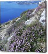 Dalmatian Coast - Cavtat To Dubrovnik Canvas Print