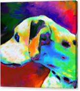 Dalmatian Dog Portrait Canvas Print