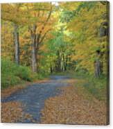 Dana Common Road In Autumn Quabbin Reservoir Canvas Print