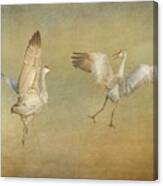 Dance Ritual Ii, Sandhill Cranes Canvas Print