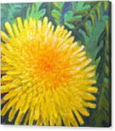 Dandelion Canvas Print