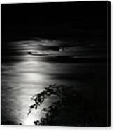 Dark River Canvas Print