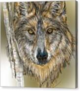 Dark Wolf With Birch Canvas Print