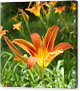 Day Lillies - Standing Tall Canvas Print