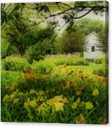 Daylilies In The Garden Canvas Print