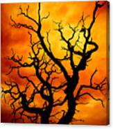 Dead Tree Canvas Print