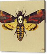 Death Head Hawk Moth Canvas Print