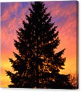 December Sunset Canvas Print
