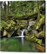 Deception Creek Canvas Print