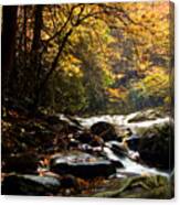Deep Creek Mountain Stream Canvas Print