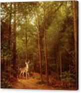 Deer In Morning Light Canvas Print