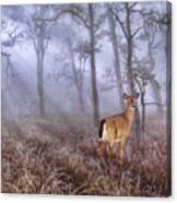 Deer Me Canvas Print