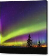 Denali Aurora Dawn Canvas Print