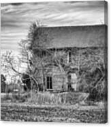 Derelict Farmhouse Canvas Print