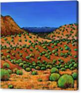 Desert Afternoon Canvas Print