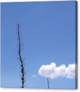 Desert Foliage Canvas Print