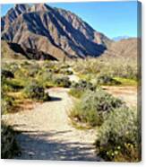 Desert Landscape Canvas Print