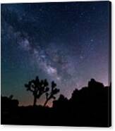 Desert Night Sky Canvas Print