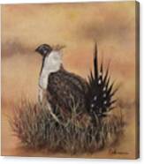 Desert Sage Grouse Canvas Print
