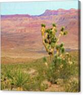 Desert Scene Near Grand Canyon West Canvas Print