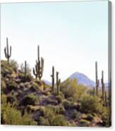 Desert Skyline Canvas Print
