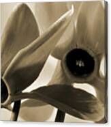 Design By Cyclamen. Canvas Print