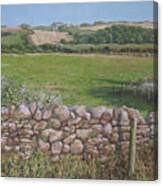 Devon Field And Drystone Wall Canvas Print