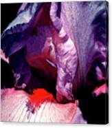 Digital Painting Fantasy Pink And Lavender Iris Detail 9978 Dp_2 Canvas Print