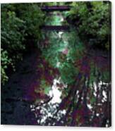Digital Painting Hidden Woodland Stream 2864 Dp_2 Canvas Print