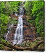 Dill Falls Canvas Print