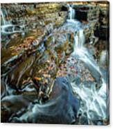 Dismal Creek Falls #2 Canvas Print