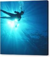 Diver On Mahi Wreck Canvas Print