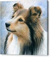 Dog 122 Canvas Print