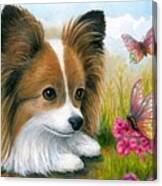 Dog 123 Papillon Canvas Print