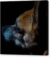 Dog In Profile Canvas Print