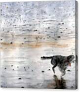 Dog On Beach Canvas Print