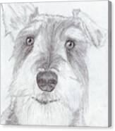 Doggie Canvas Print