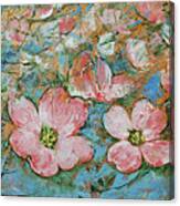 Dogwood Flowers Canvas Print