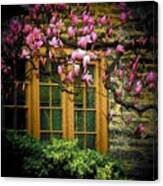 Dogwood In The Spring Canvas Print